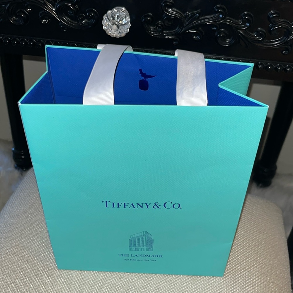 Tiffany & Co. gift bag.